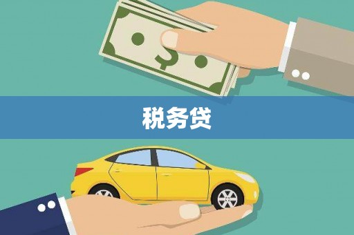 中西区税务贷