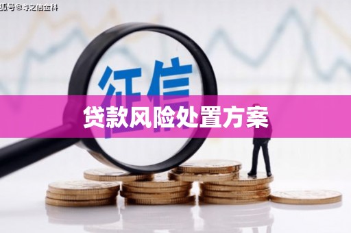 中西区贷款风险处置方案