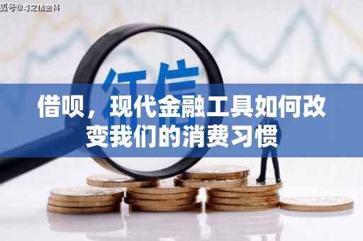 中西区借呗，现代金融工具如何改变我们的消费习惯