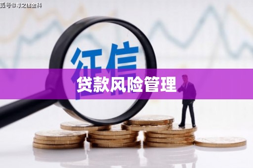中西区贷款风险管理