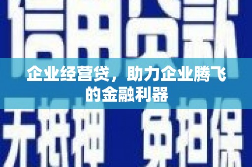 中西区企业经营贷，助力企业腾飞的金融利器