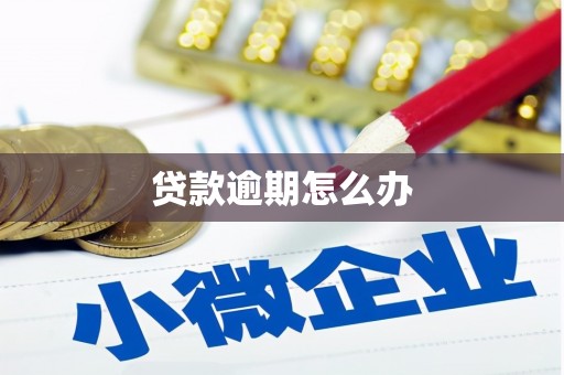 中西区贷款逾期怎么办