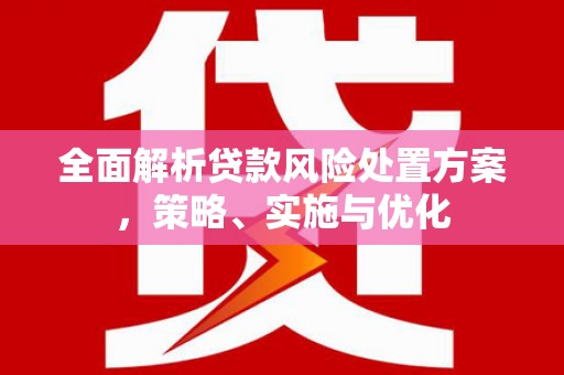 中西区全面解析贷款风险处置方案，策略、实施与优化
