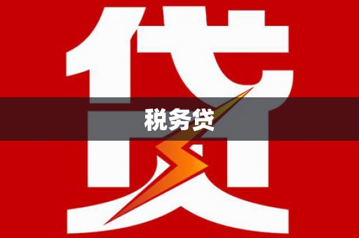 中西区税务贷