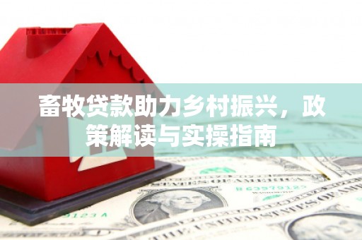 中西区畜牧贷款助力乡村振兴，政策解读与实操指南