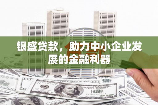 中西区银盛贷款，助力中小企业发展的金融利器