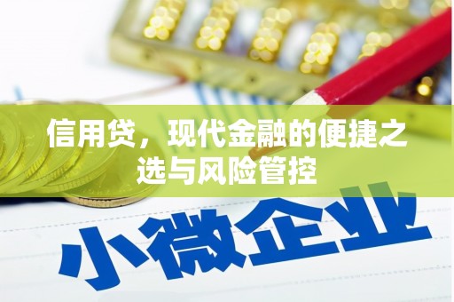 中西区信用贷，现代金融的便捷之选与风险管控