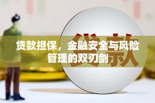 中西区贷款担保，金融安全与风险管理的双刃剑