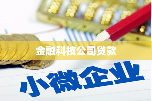 中西区金融科技公司贷款