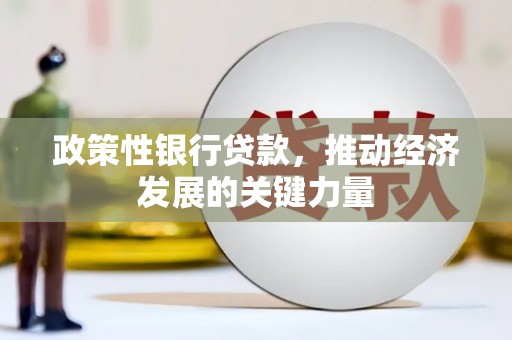 中西区政策性银行贷款，推动经济发展的关键力量