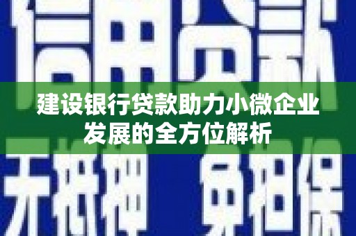 中西区建设银行贷款助力小微企业发展的全方位解析