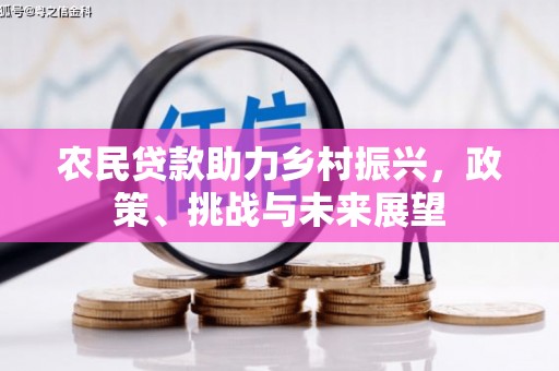 中西区农民贷款助力乡村振兴，政策、挑战与未来展望