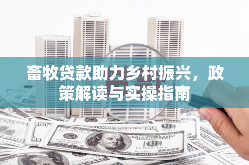 中西区畜牧贷款助力乡村振兴，政策解读与实操指南