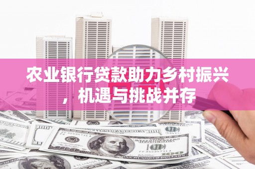 中西区农业银行贷款助力乡村振兴，机遇与挑战并存
