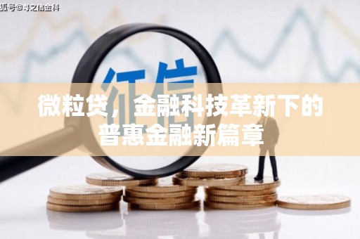 中西区微粒贷，金融科技革新下的普惠金融新篇章
