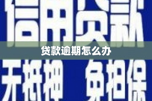 中西区贷款逾期怎么办