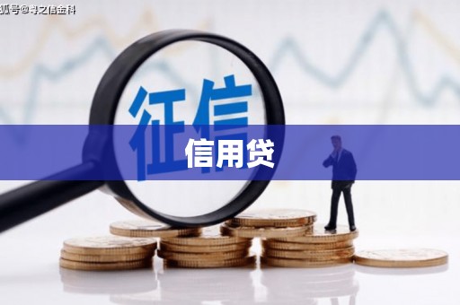 中西区信用贷