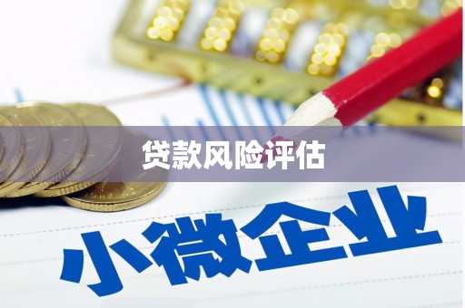 中西区贷款风险评估