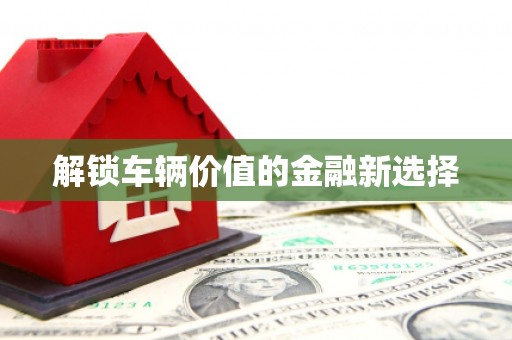 中西区解锁车辆价值的金融新选择