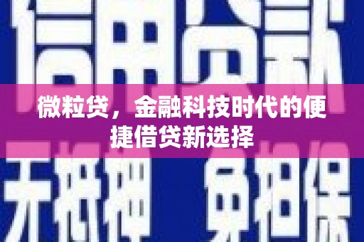 中西区微粒贷，金融科技时代的便捷借贷新选择