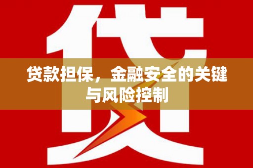 中西区贷款担保，金融安全的关键与风险控制