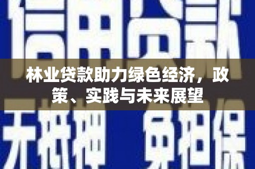 中西区林业贷款助力绿色经济，政策、实践与未来展望