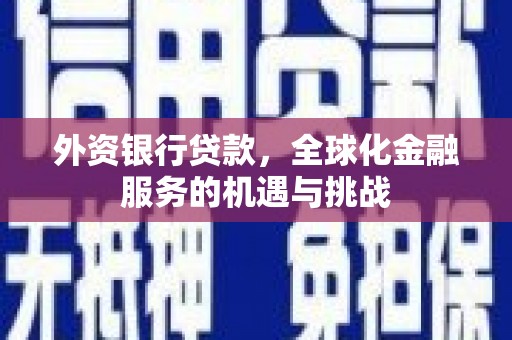 中西区外资银行贷款，全球化金融服务的机遇与挑战