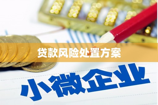 中西区贷款风险处置方案