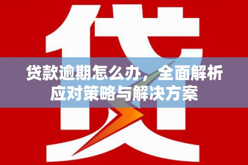 中西区贷款逾期怎么办，全面解析应对策略与解决方案