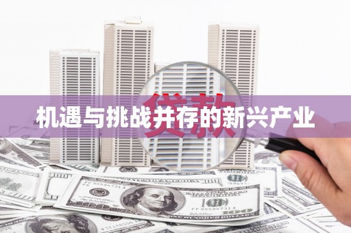 中西区机遇与挑战并存的新兴产业
