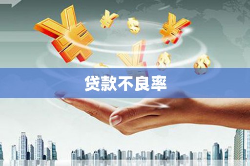 中西区贷款不良率