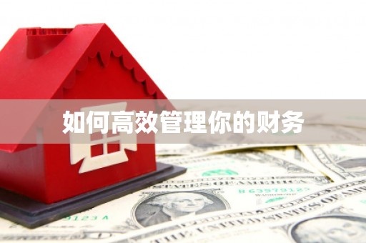 中西区如何高效管理你的财务
