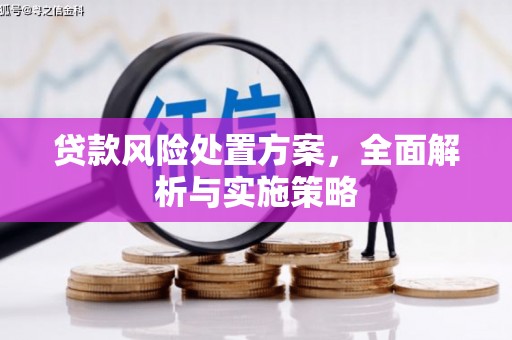 中西区贷款风险处置方案，全面解析与实施策略