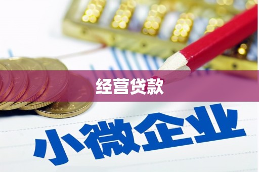 中西区经营贷款