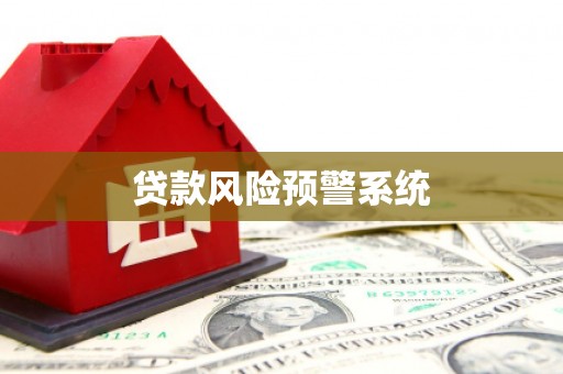 中西区贷款风险预警系统